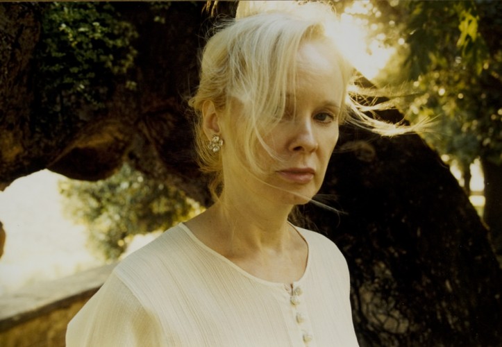 mary gaitskill